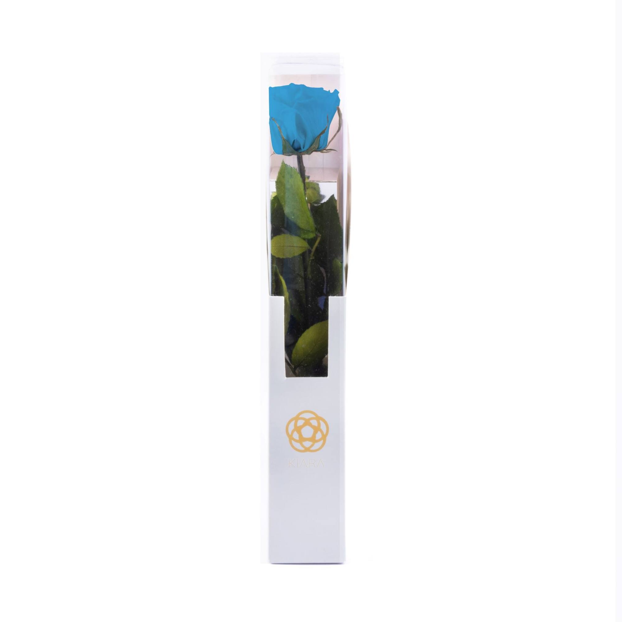 Fantasy Farms 11.8" Preserved Rose Stem